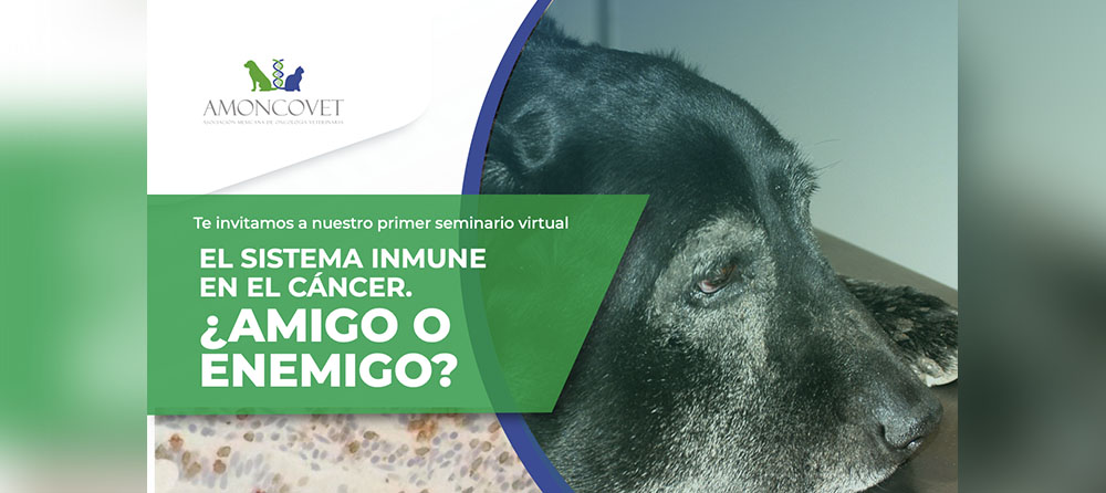 el sistema inmune en el cancer
