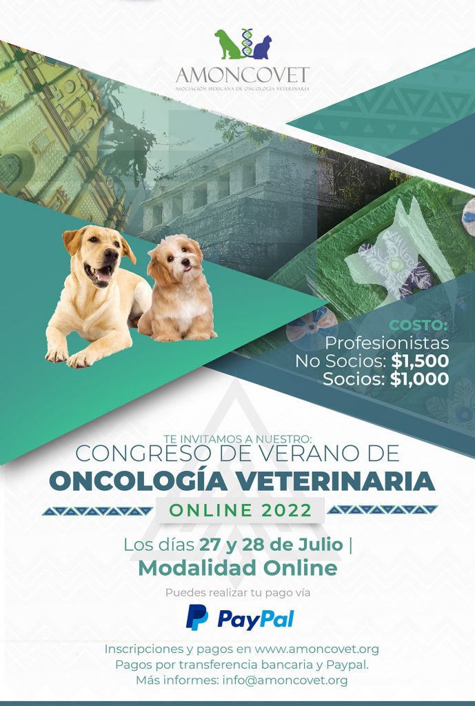 cartel congreso verano online