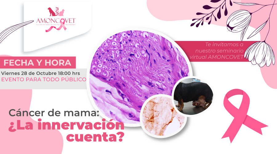 Cáncer de mama: ¿La innervación cuenta?