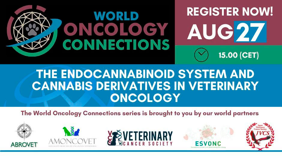 world-oncology-connections